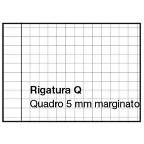 Set 5 quaderni MAXI SPECIAL tintaUNITA - 5mm CON MARGINE - dalla 2° elementare