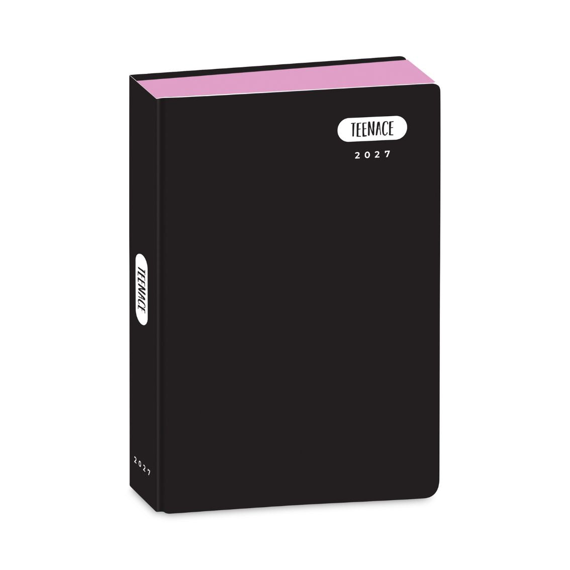 Diario Standard 12M Pastello Teenace