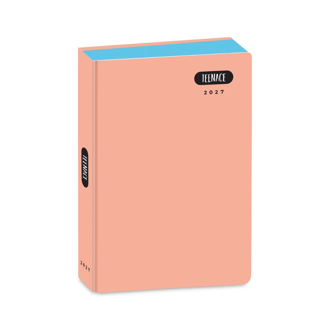 Diario Standard 12M Pastello Teenace