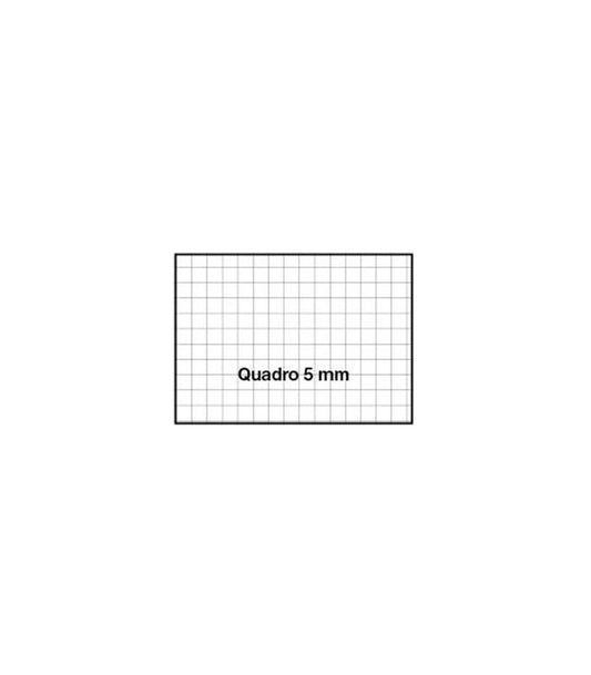 Set 5 quaderni MAXI SPECIAL tintaUNITA - 5mm - dalla 2° elementare