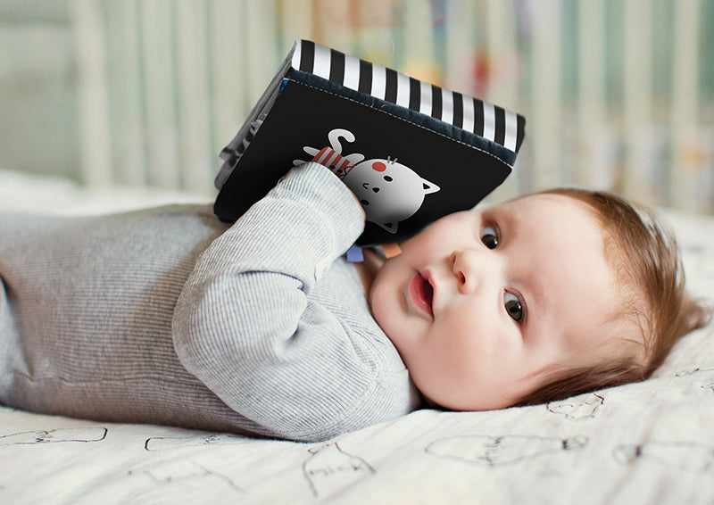 ANIMALI MORBIDI - L'ORSETTO