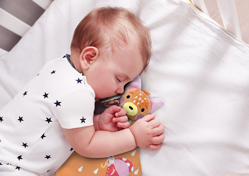 IL LIBRO CHE FA LA NANNA - VOLPE