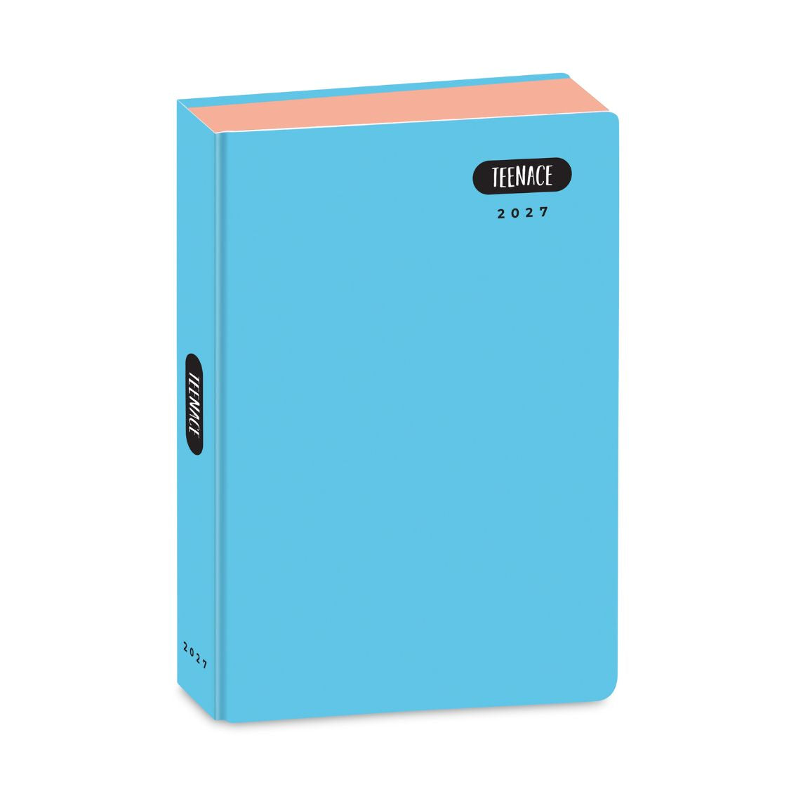 Diario Standard 12M Pastello Teenace