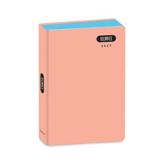 Diario Standard 12M Pastello Teenace