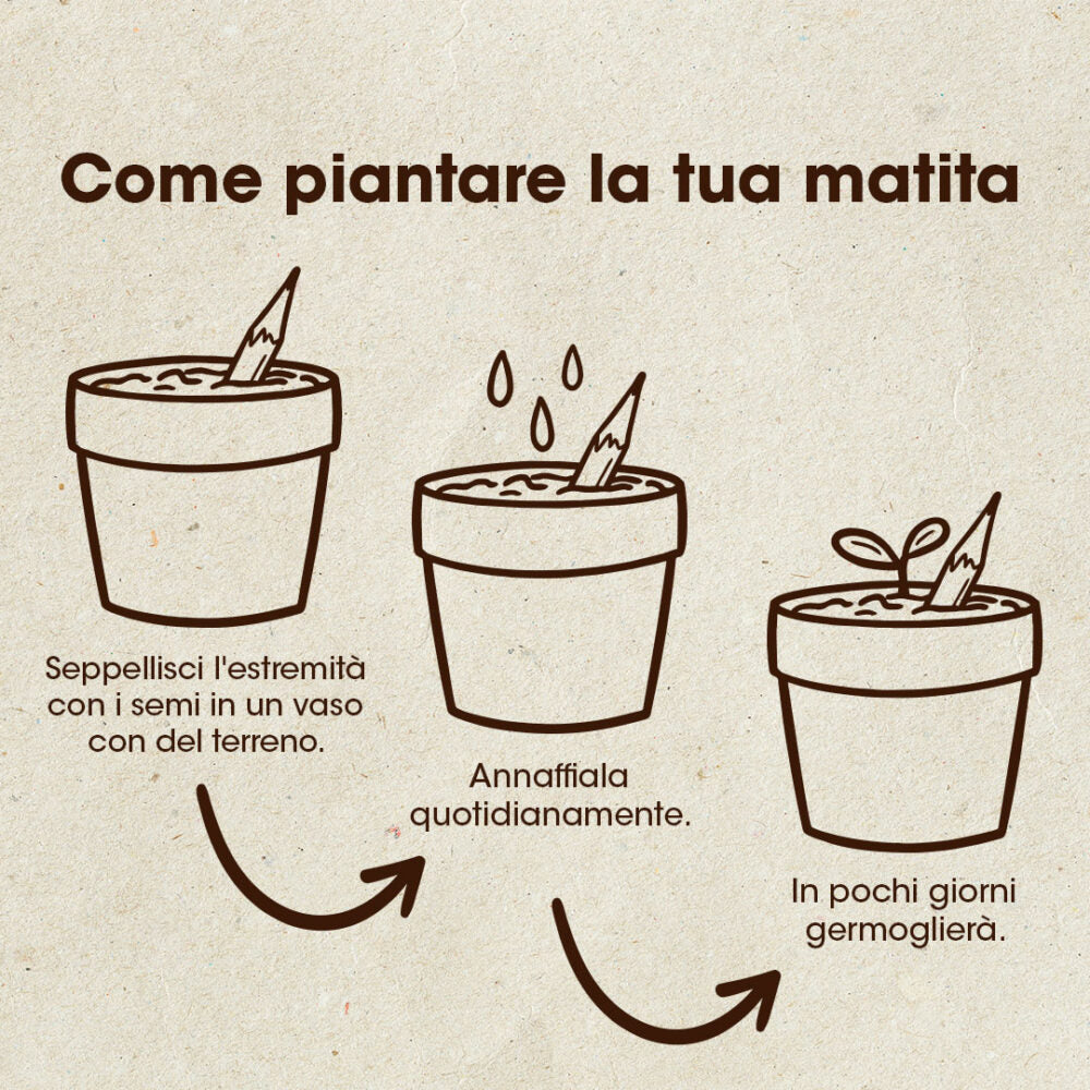 MATITA PIANTABILE