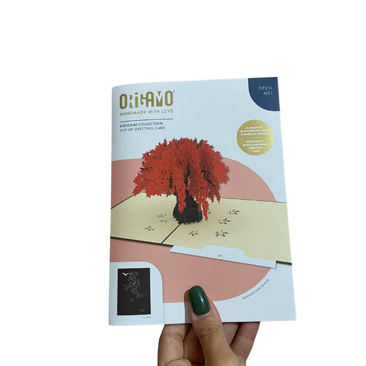 CILIEGIO DEL GIAPPONE