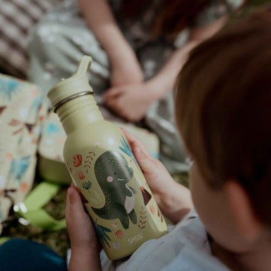 Cracky il Dinosauro Borraccia in acciaio inox 500ml Sassi