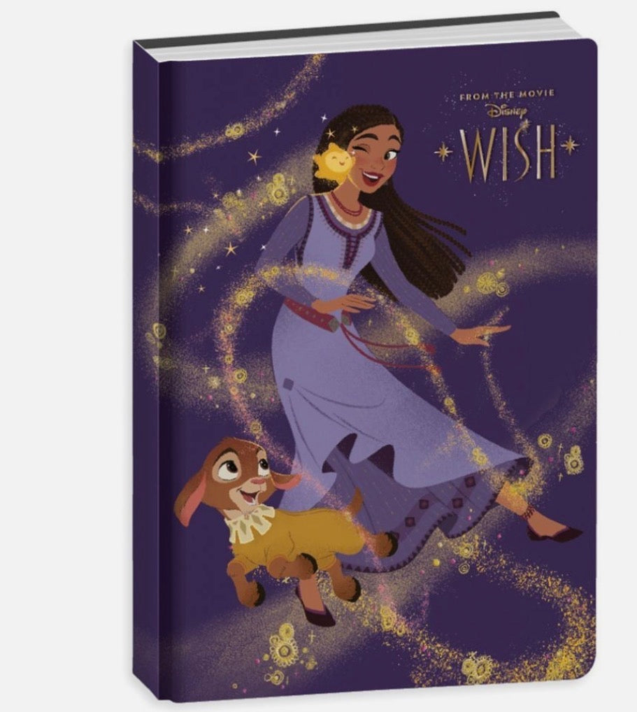 DIARIO 10 MESI STANDARD WISH