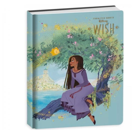 DIARIO 10 MESI STANDARD WISH