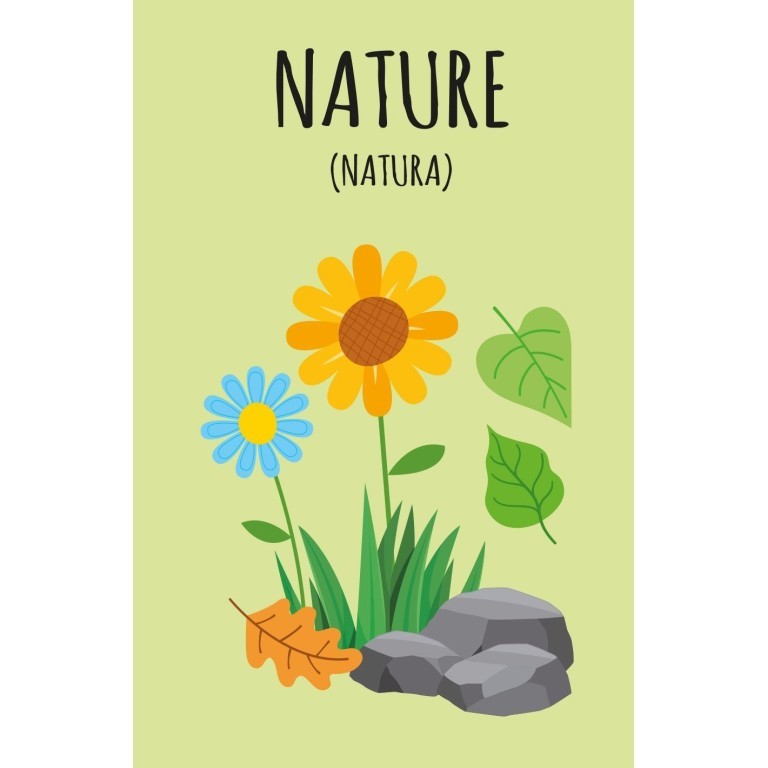 LA MIA PRIMA BIBLIOTECA - IMPARO L'INGLESE