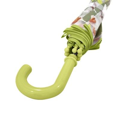 Cracky il Dinosauro Ombrello Sassi