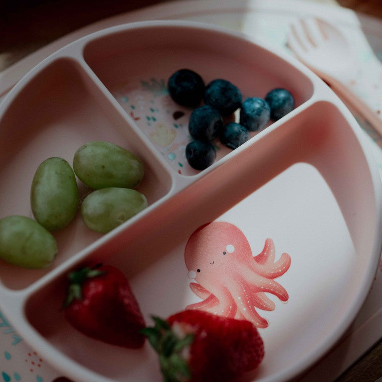 Slurpy  il Polipo Piatto con ventosa in silicone Sassi
